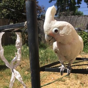 Meet your Posher, Cassie!